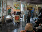 dscn6400.jpg (160401 octets)